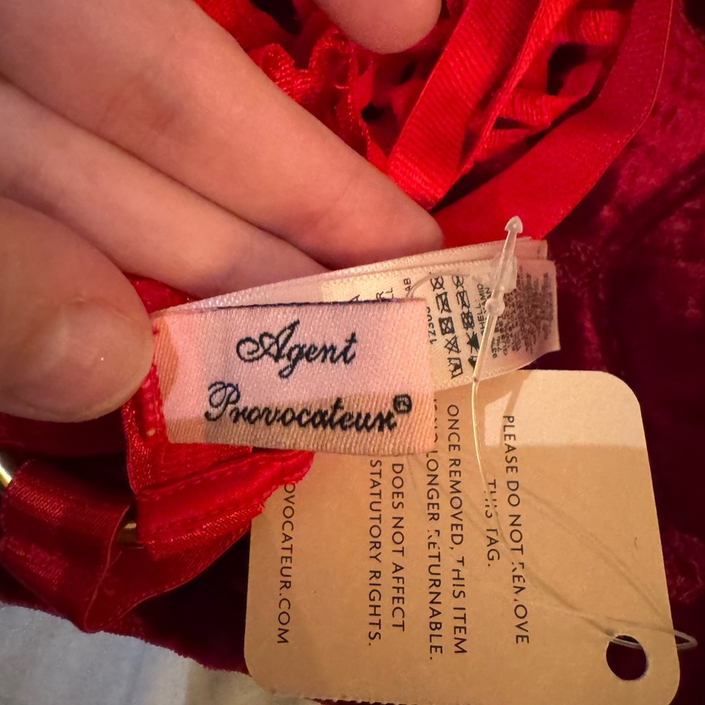 Agent Provocateur Red Bubble Panties size 2 NWT - Picture 7 of 8